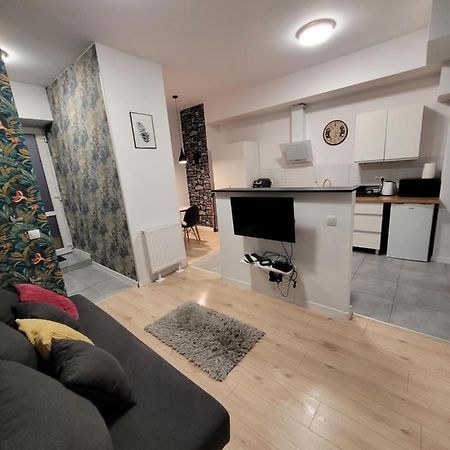 Apartamenty Cieplicka 20 Jelenia Góra Eksteriør billede