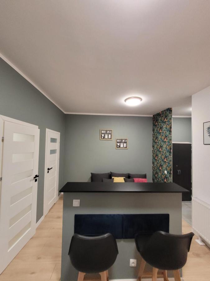 Apartamenty Cieplicka 20 Jelenia Góra Eksteriør billede
